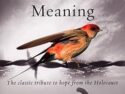 Man's Search For Meaning By Victor E. Frank